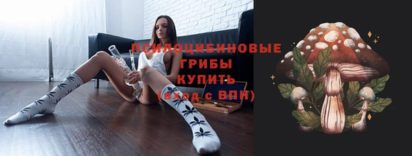 прущая мука Надым
