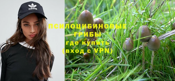 прущая мука Надым