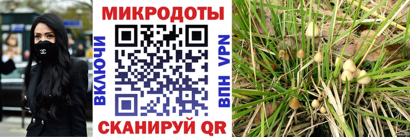 Купить где  Меленки  Галлюциногенные грибы Magic Shrooms 